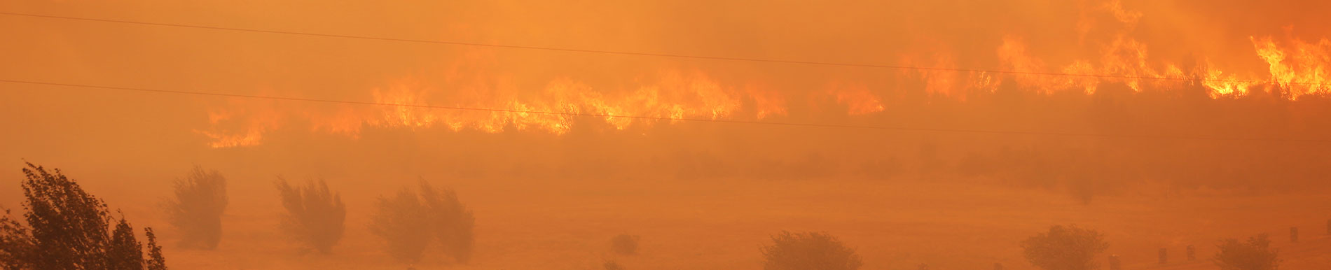 https://boxofbebe.store/SiteCollectionImage-Homepage-Banners/wildfires-banner.jpg